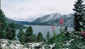 Дубайдағы сексті қараңыз