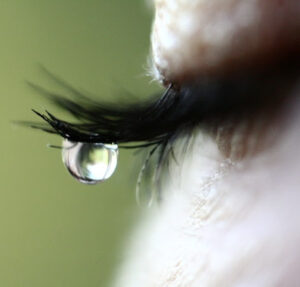 Доктор Гниколоктың орнындағы нағыз түсірілім науқасты толқытады