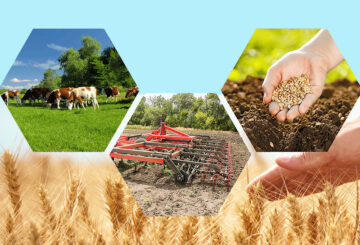 Ауылды гүлдендіруге бағытталған өркенді өзгерістер