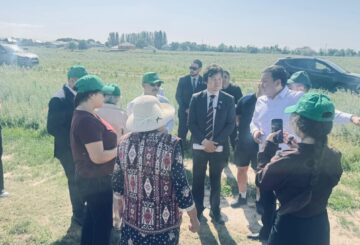 Әймендіктер үшін таза ауа қат болып тұр
